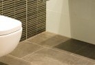 Paratootoilet-repairs-and-replacements-5.jpg; ?>